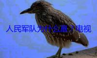 人民军队为什么赢？电视剧《浴血荣光》给出答案